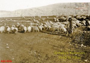 Antakya Fotoğrafları 1930-1939 OT12