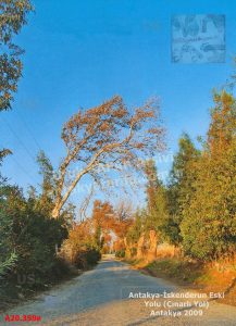 Antakya Fotoğrafları 2000-2009 İK3