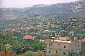 Yoncakaya-Yayladağı