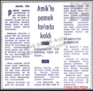 Amik’te Pamuk Toplanamadı-3 Kasım 1971-Milliyet/Cotton Could Not Be Harvested in the Amik Plain – 3 November 1971